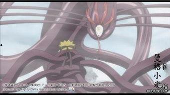 火影忍者零尾最新爆料,揭秘火影忍者终极秘密