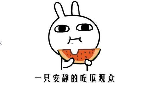 吃瓜娱乐配音制作方法,打造你的专属趣味声音